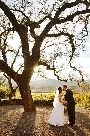 sonoma valley elopement